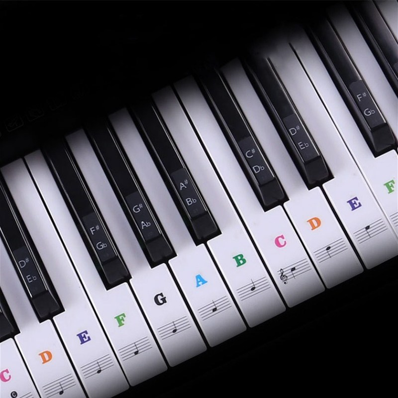 Transparent Piano Keyboard Sti - مراجعة Keyboard Piano 61 Key وسعره