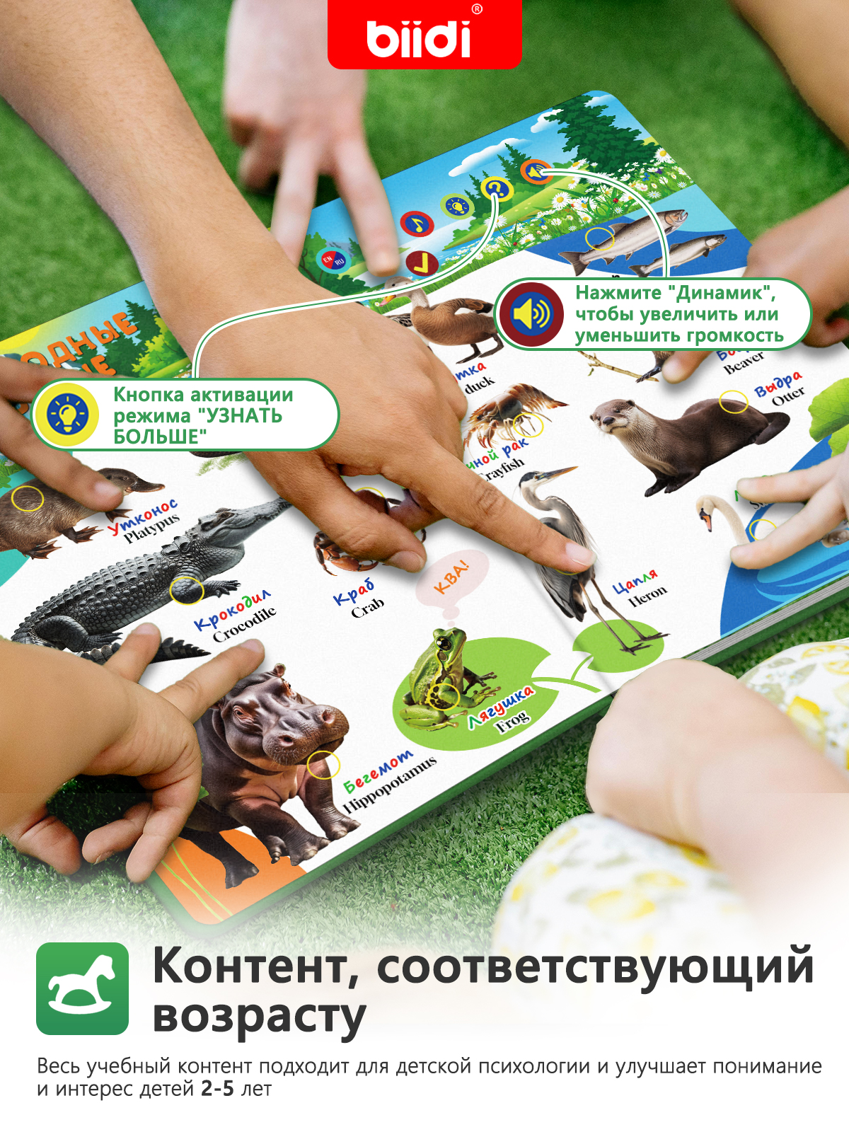English, Russian Bilingual Aud - مراجعة Music Audiobook وسعره