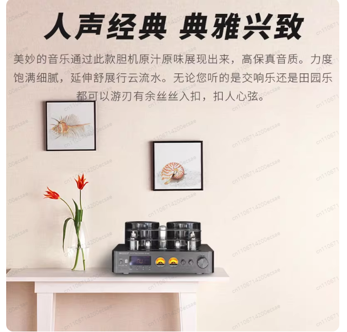 220V 400W * 2 High Fidelity Wi - مراجعة Audio Music Youtube وسعره